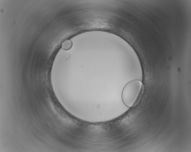 X0000052610534200507010941