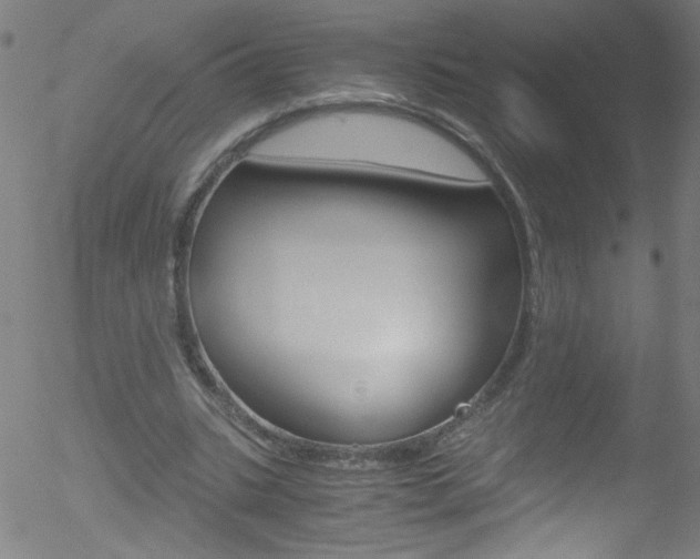 X0000052610535200507010941