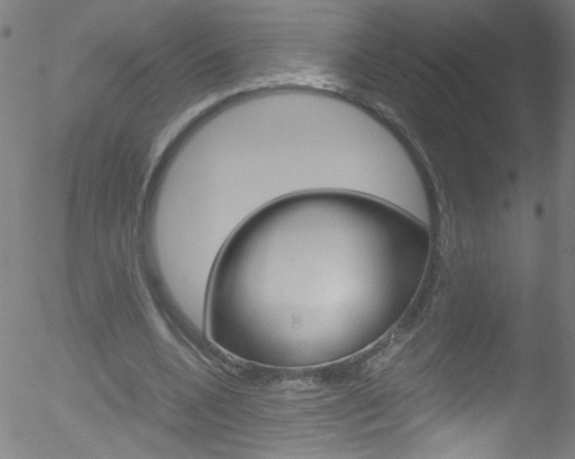 X0000052610536200507010941