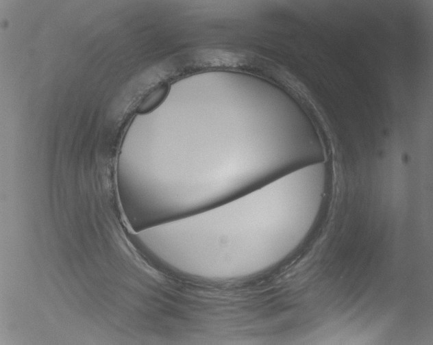 X0000052610537200507010941