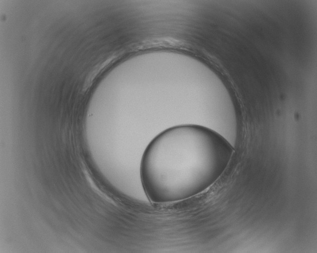 X0000052610538200507010941