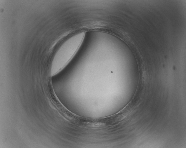 X0000052610539200507010941