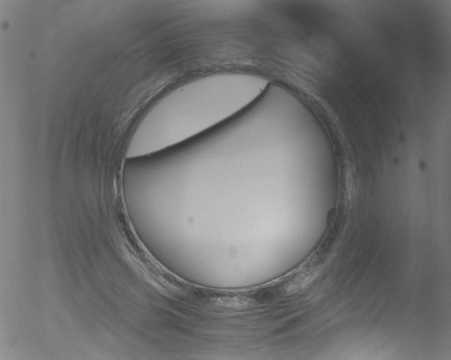 X0000052610541200507010941