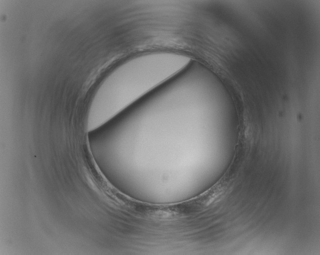 X0000052610542200507010941