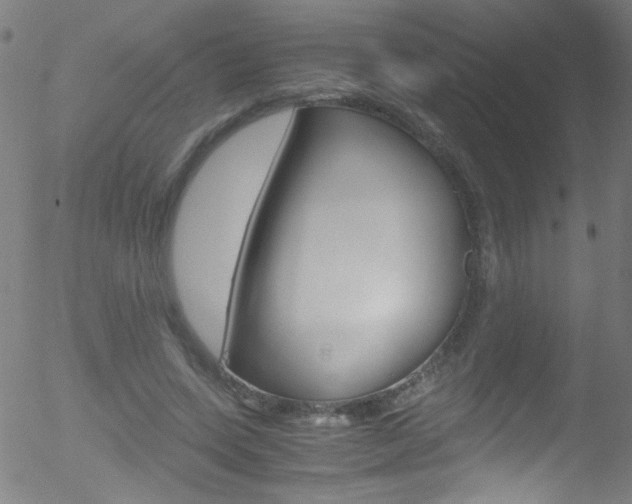 X0000052610543200507010941