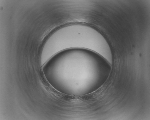 X0000052610544200507010941