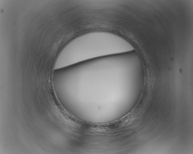 X0000052610545200507010941