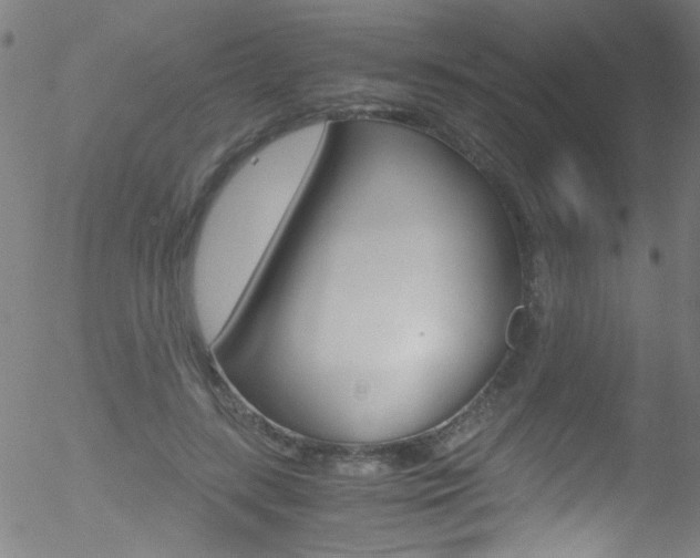 X0000052610547200507010941