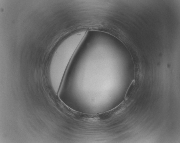 X0000052610548200507010941