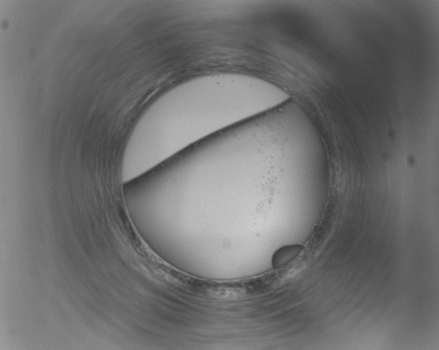 X0000052610549200507010941