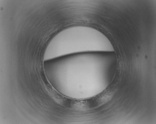 X0000052610550200507010941