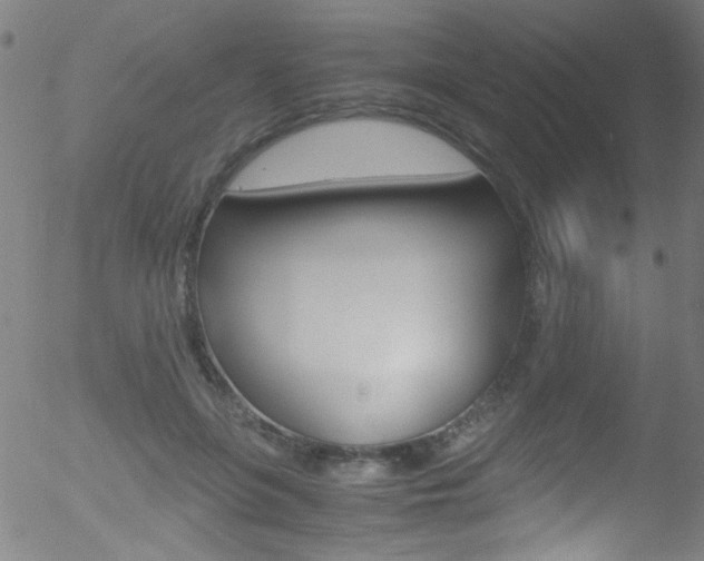 X0000052610551200507010941