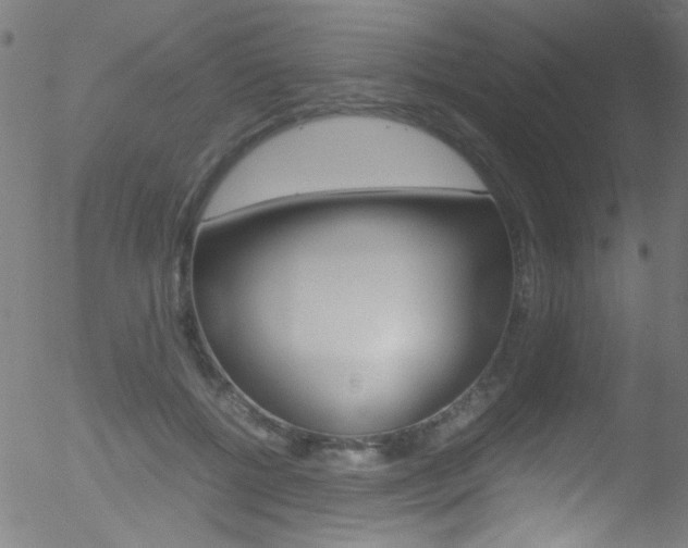 X0000052610552200507010941