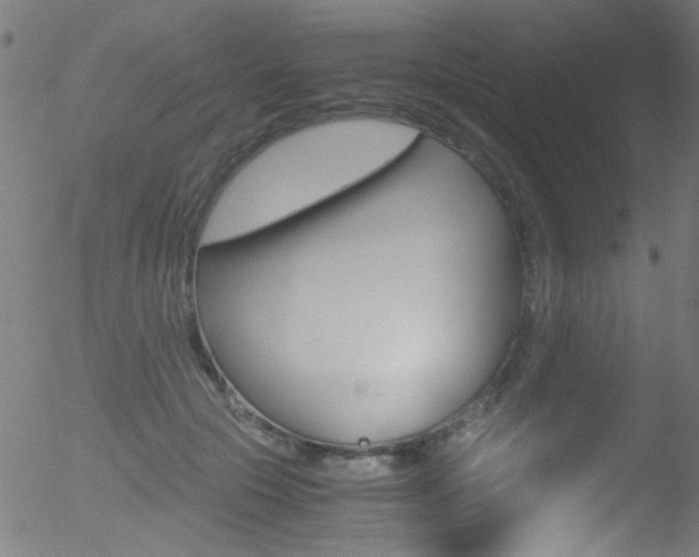 X0000052610553200507010941