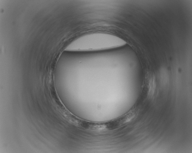 X0000052610554200507010941