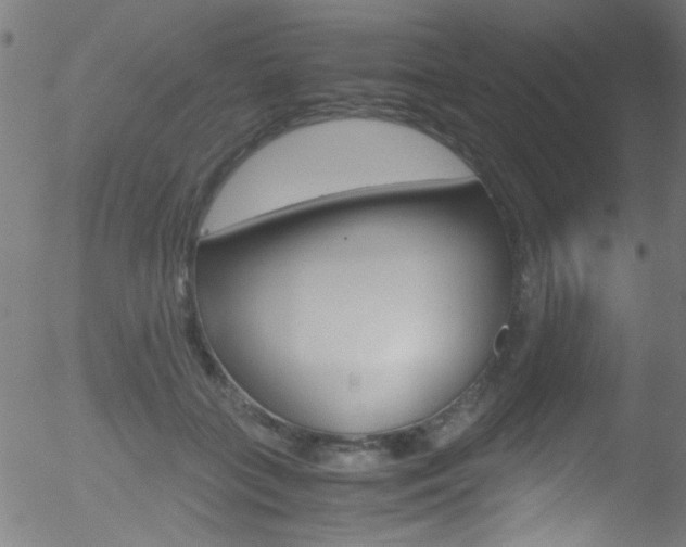 X0000052610555200507010941