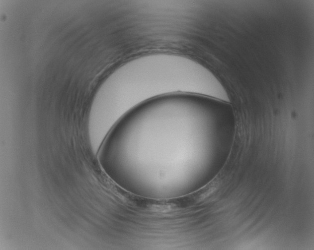 X0000052610556200507010941