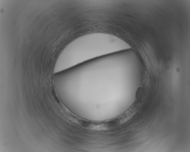 X0000052610557200507010942