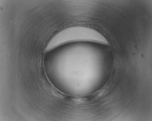 X0000052610558200507010942