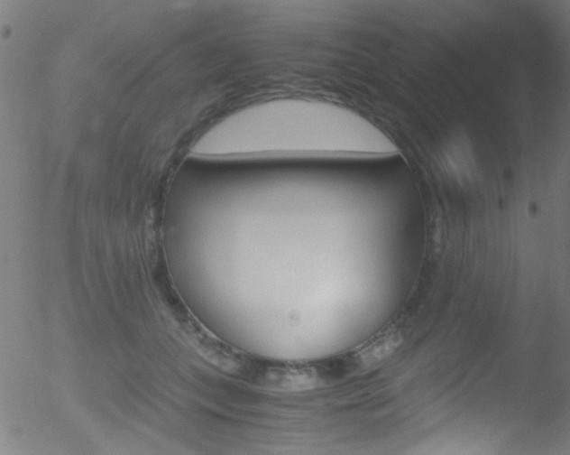 X0000052610559200507010942