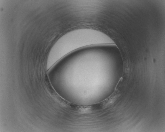 X0000052610560200507010942