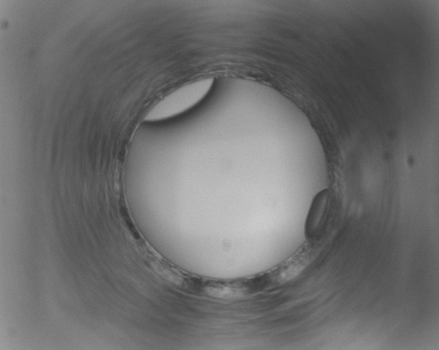 X0000052610561200507010942