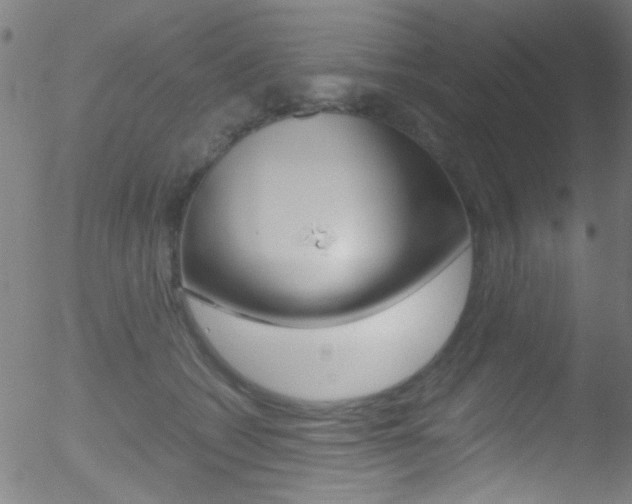 X0000052610562200507010942