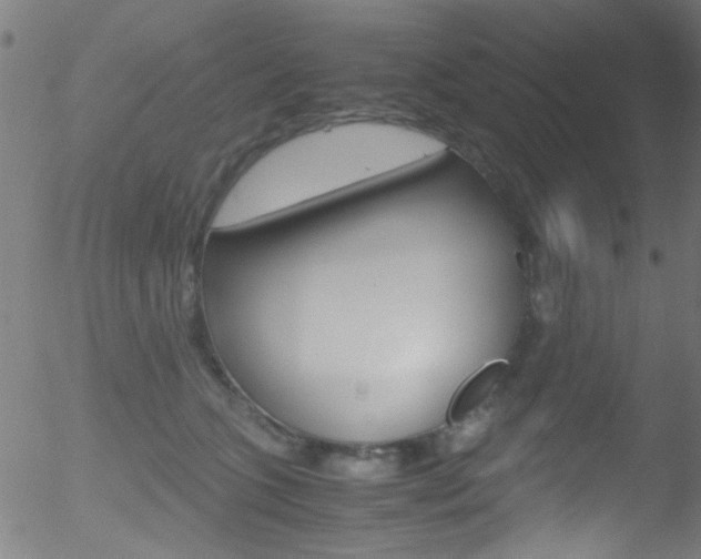 X0000052610563200507010942