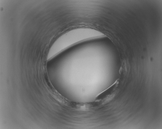 X0000052610564200507010942