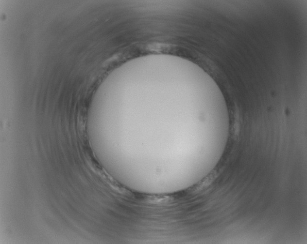 X0000052610569200507010942