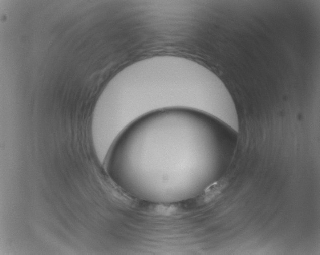 X0000052610570200507010942