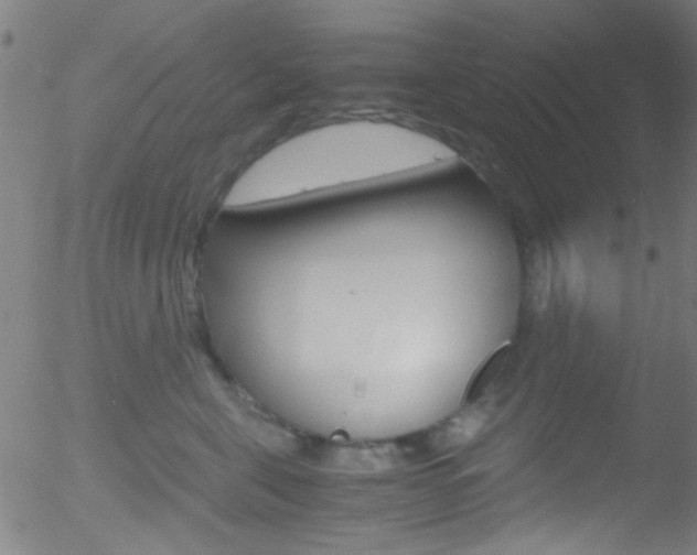 X0000052610571200507010942