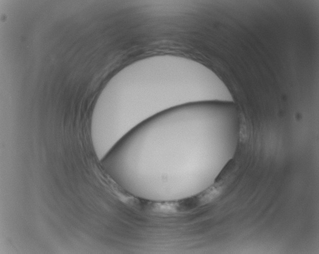 X0000052610573200507010942