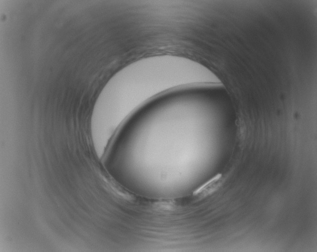 X0000052610574200507010942