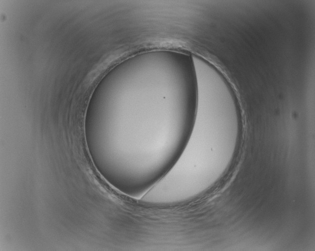 X0000052610577200507010941