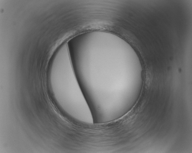 X0000052610578200507010941