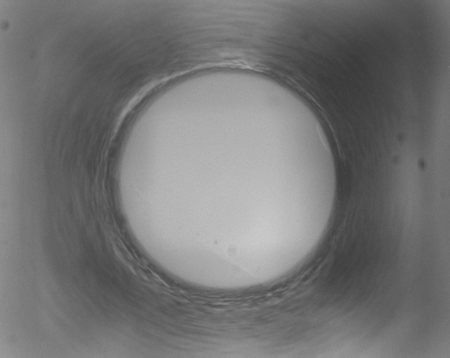 X0000052610579200507010941