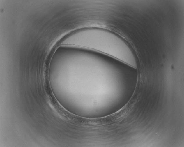 X0000052610580200507010941