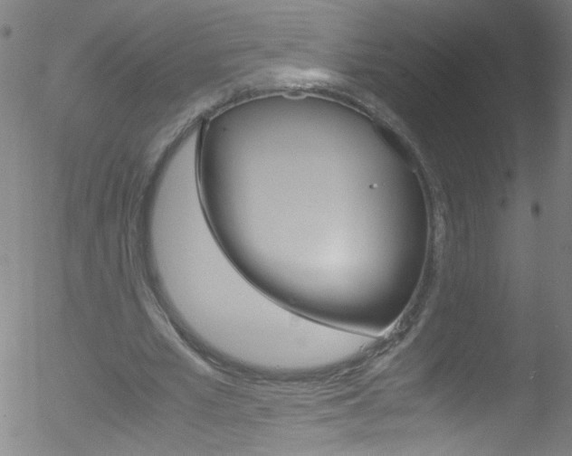 X0000052610581200507010941