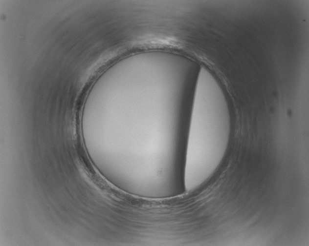 X0000052610582200507010941