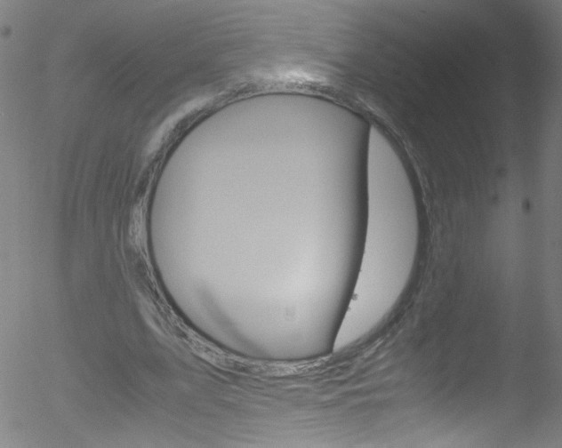 X0000052610583200507010941