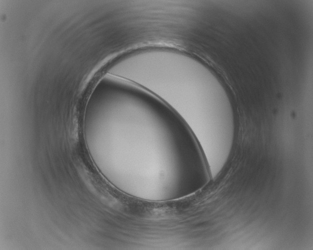 X0000052610584200507010941