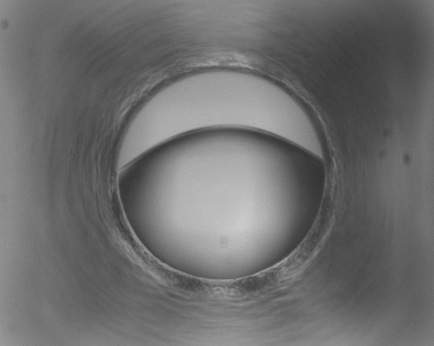 X0000052610585200507010941