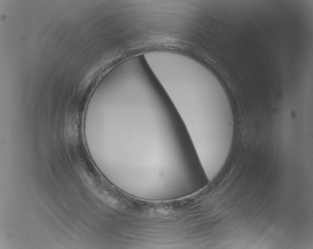 X0000052610586200507010941