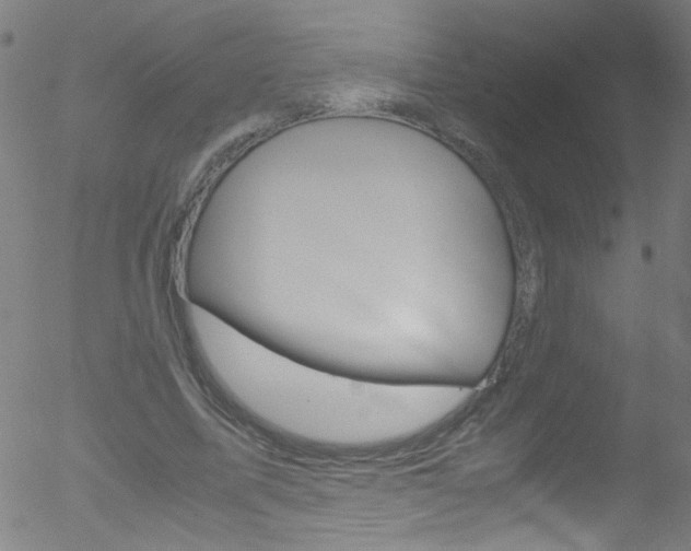 X0000052610587200507010941