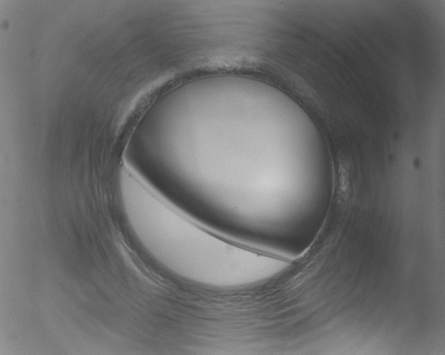 X0000052610588200507010941