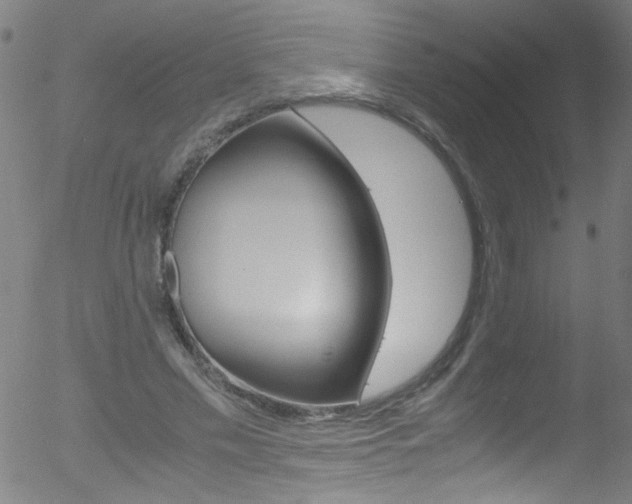 X0000052610589200507010941