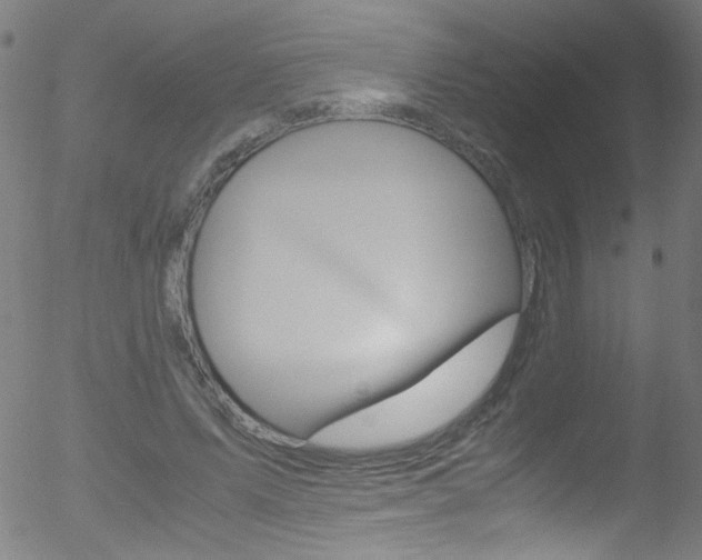 X0000052610591200507010941