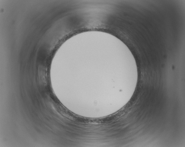 X0000052610592200507010941