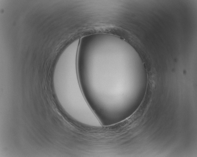 X0000052610593200507010941